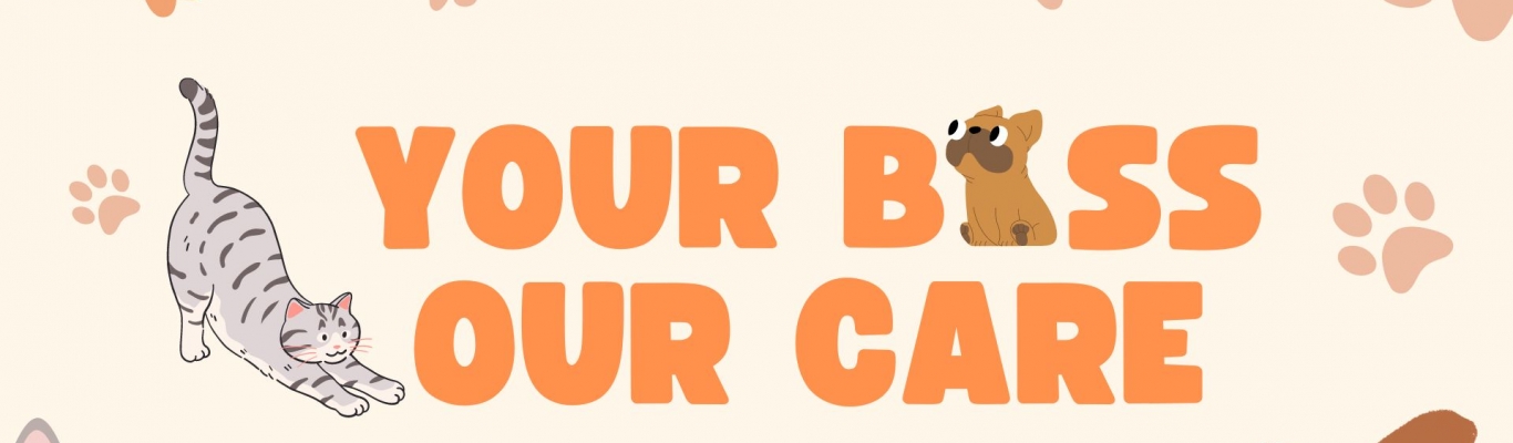PET STATION I Phụ kiện và dich vụ chăm sóc thú cưng hệ thống toàn quốc